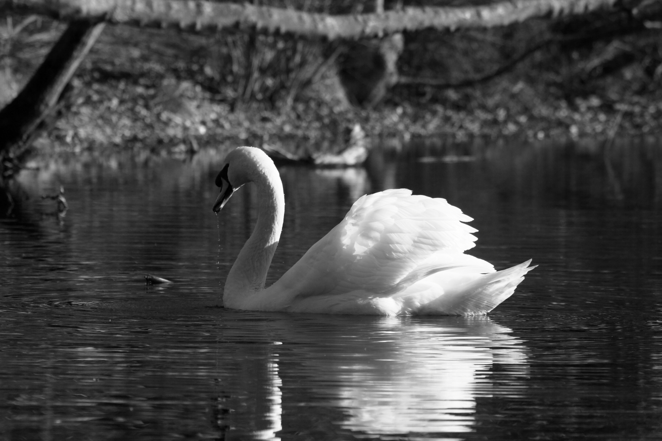 2016 01 03 HTP 000091455ebw
